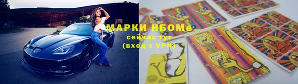 шишки Арсеньев