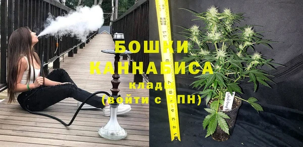 шишки Арсеньев