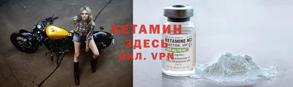 шишки Арсеньев