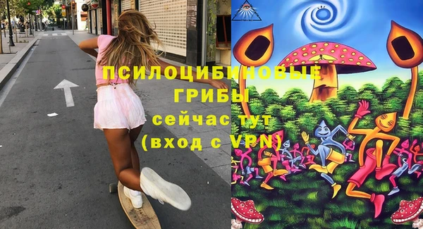 ECSTASY Армянск
