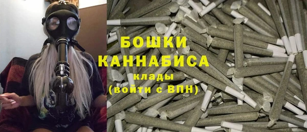 apvp Каменка