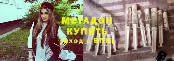 шишки Арсеньев