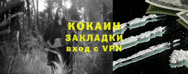 шишки Арсеньев