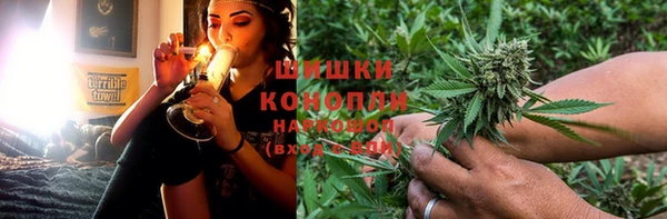 шишки Арсеньев