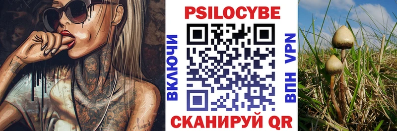 Галлюциногенные грибы мицелий  blacksprut вход  Бор  сколько стоит 