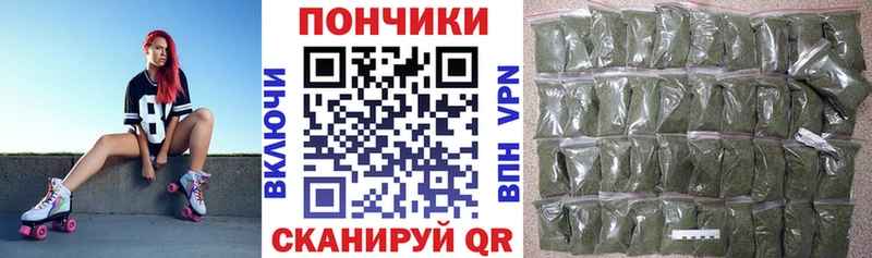 Бошки Шишки сатива  Бор 
